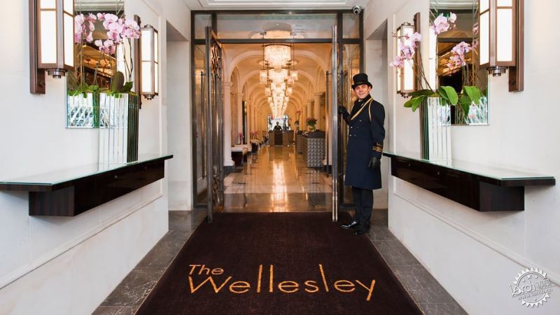 ӢΤ˹Ƶ The Wellesley2ͼƬ