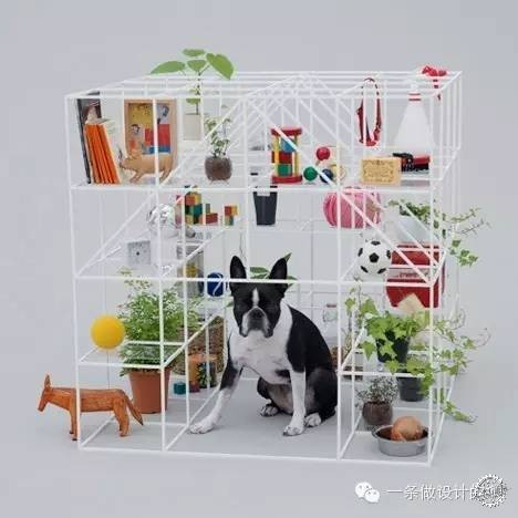  Architecture & Dogs3ͼƬ