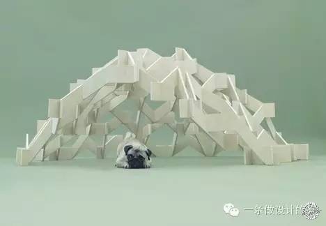  Architecture & Dogs17ͼƬ