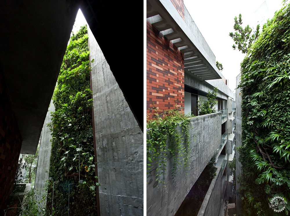 Killiney·/ipli architects8ͼƬ