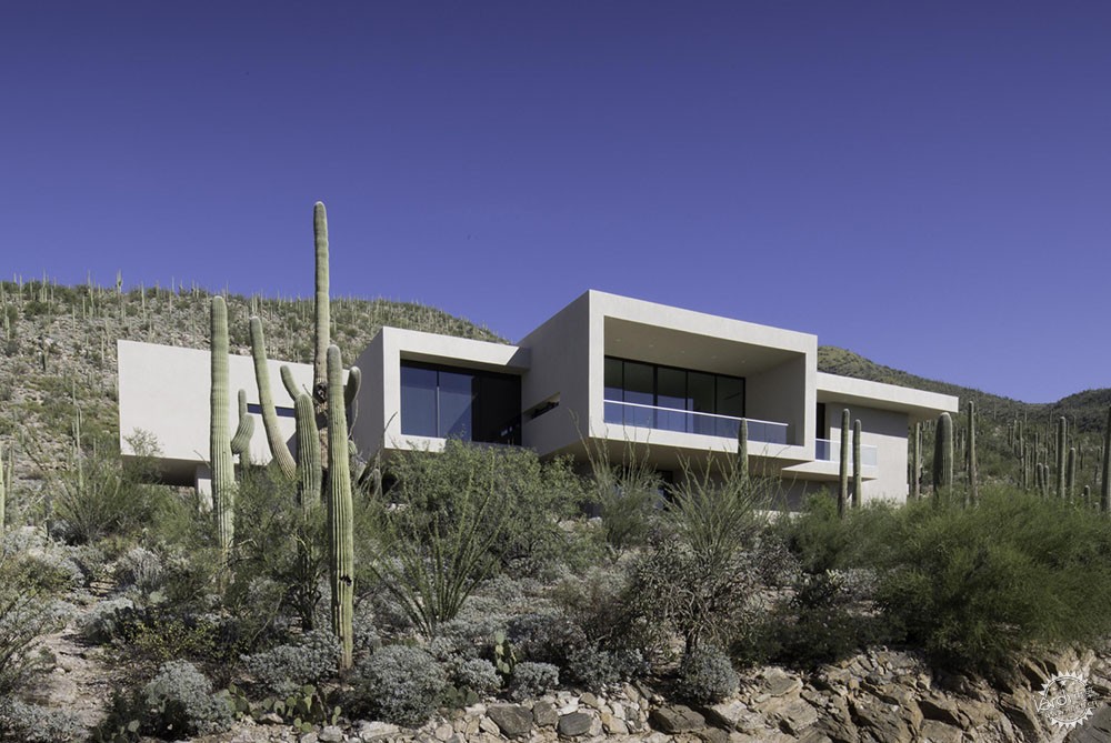 Sabino Springs/ Kevin B Howard Architects2ͼƬ