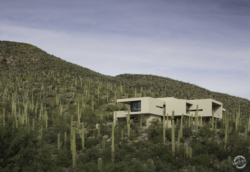 Sabino Springs/ Kevin B Howard Architects1ͼƬ