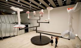 Carsten Holler׶Haywardչݴ