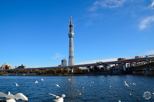 Tokyo Sky Tree by սƵ4ͼƬ