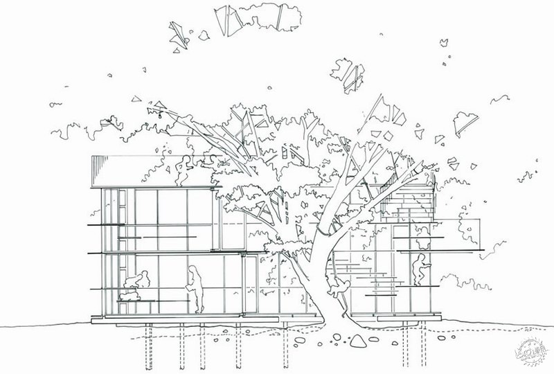 ׶԰Ring Around a Tree by Tezuka Architects13ͼƬ