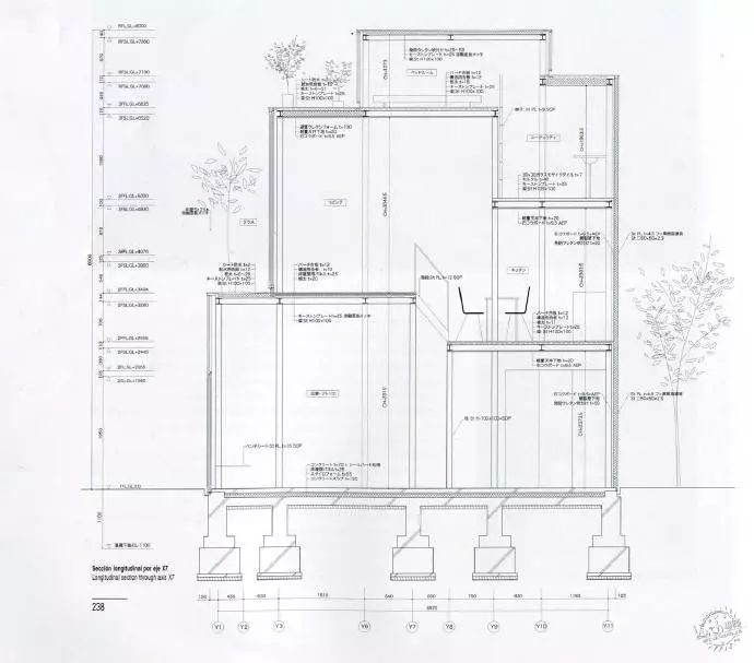 ǻҹޣ·˹Adolf Loos1900-193031ͼƬ