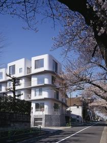 ӣ֮ϹԢSakura Apartment by Hitoshi Wakamatsu